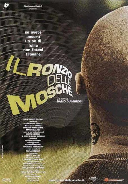 Постер Il ronzio delle mosche